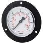 PLAST Manometer med flange Ø40  ms. studs bagud 1/8" BSP (0 - 20 Bar)